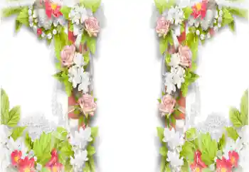 Foto-effetti della categoria Cornici da donna № 153229