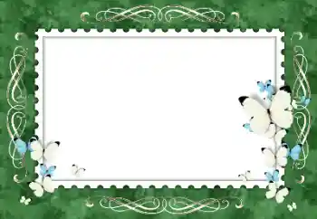 Foto-effetti della categoria Cornici da donna № 154319