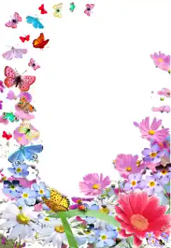 Foto-effetti della categoria Cornici da donna № 154470