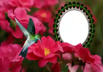 Foto-effetti della categoria Cornici da donna № 154585