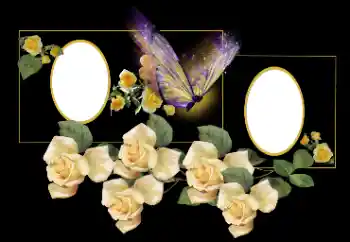 Foto-effetti della categoria Cornici da donna № 154636