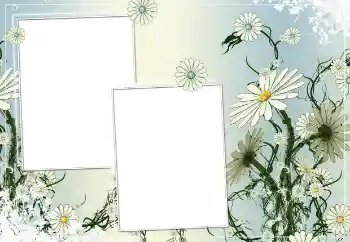 Foto-effetti della categoria Cornici da donna № 154786