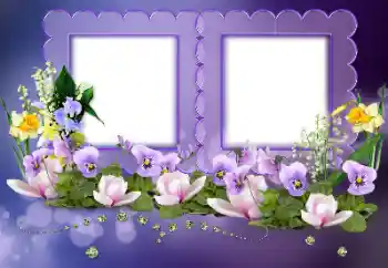 Foto-effetti della categoria Cornici da donna № 155795