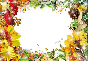 Foto-effetti della categoria Cornici da donna № 155799