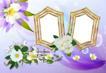 Foto-effetti della categoria Cornici da donna № 155815