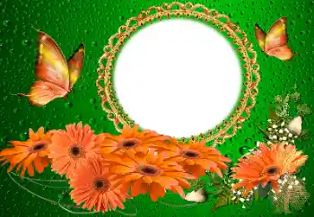 Foto-effetti della categoria Cornici da donna № 155817