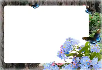 Foto-effetti della categoria Cornici da donna № 155873