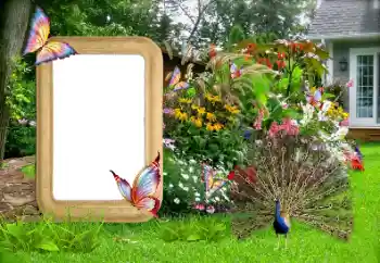 Foto-effetti della categoria Cornici da donna № 155936