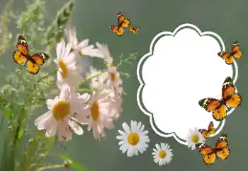 Foto-effetti della categoria Cornici da donna № 157064