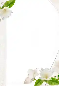 Foto-effetti della categoria Cornici da donna № 157069