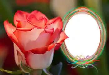 Foto-effetti della categoria Cornici da donna № 157090