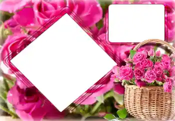 Foto-effetti della categoria Cornici da donna № 157091