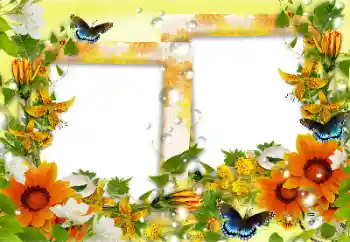 Foto-effetti della categoria Cornici da donna № 158241