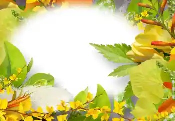 Foto-effetti della categoria Cornici da donna № 158274