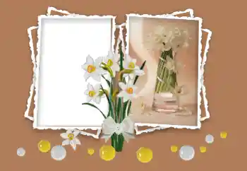 Foto-effetti della categoria Cornici da donna № 158348