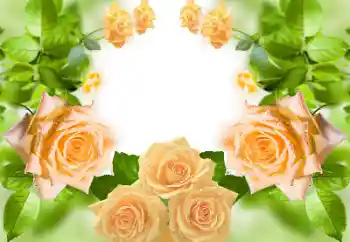 Foto-effetti della categoria Cornici da donna № 158383