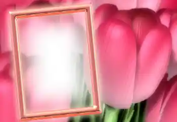 Foto-effetti della categoria Cornici da donna № 15899 Foto-effetti della categoria Cornici da donna № 15899