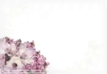 Foto-effetti della categoria Cornici da donna № 15911 Foto-effetti della categoria Cornici da donna № 15911