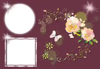 Foto-effetti della categoria Cornici da donna № 159513