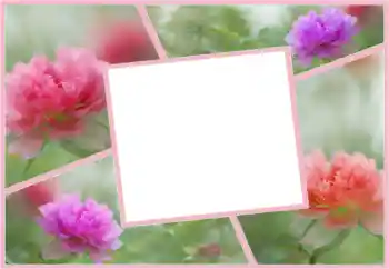 Foto-effetti della categoria Cornici da donna № 160554