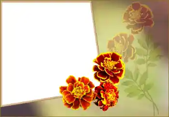 Foto-effetti della categoria Cornici da donna № 160560