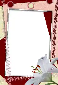 Foto-effetti della categoria Cornici da donna № 160618