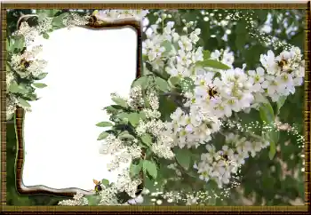 Foto-effetti della categoria Cornici da donna № 16069 Foto-effetti della categoria Cornici da donna № 16069