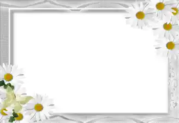 Foto-effetti della categoria Cornici da donna № 16071 Foto-effetti della categoria Cornici da donna № 16071