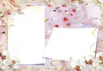 Foto-effetti della categoria Cornici da donna № 160739