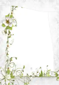 Foto-effetti della categoria Cornici da donna № 160795