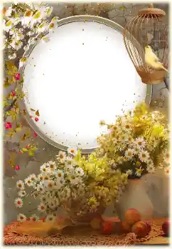 Foto-effetti della categoria Cornici da donna № 161952