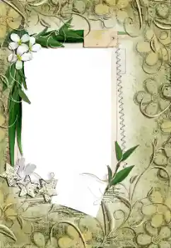 Foto-effetti della categoria Cornici da donna № 161971