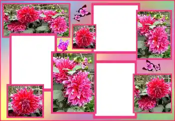 Foto-effetti della categoria Cornici da donna № 162009