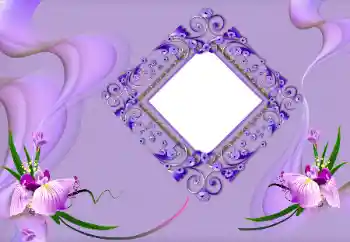 Foto-effetti della categoria Cornici da donna № 163219