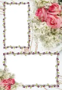 Foto-effetti della categoria Cornici da donna № 163256