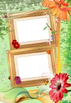 Foto-effetti della categoria Cornici da donna № 163300