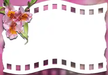 Foto-effetti della categoria Cornici da donna № 163337