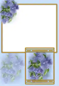 Foto-effetti della categoria Cornici da donna № 163338