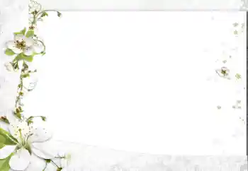 Foto-effetti della categoria Cornici da donna № 163602