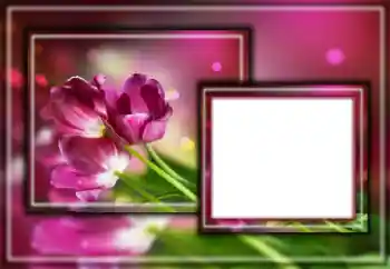 Foto-effetti della categoria Cornici da donna № 164601