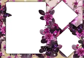 Foto-effetti della categoria Cornici da donna № 164747