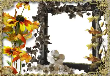 Foto-effetti della categoria Cornici da donna № 164786