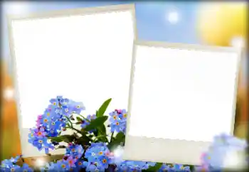 Foto-effetti della categoria Cornici da donna № 166068