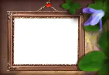 Foto-effetti della categoria Cornici da donna № 166082