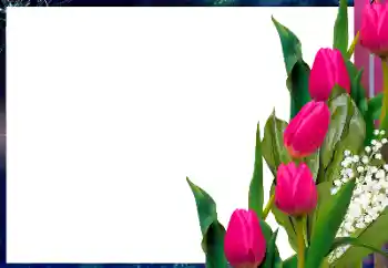 Foto-effetti della categoria Cornici da donna № 166133