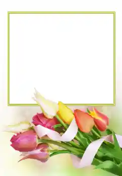 Foto-effetti della categoria Cornici da donna № 166153