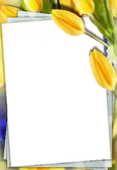 Foto-effetti della categoria Cornici da donna № 166167