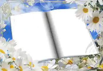 Foto-effetti della categoria Cornici da donna № 166181