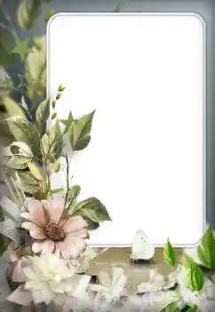 Foto-effetti della categoria Cornici da donna № 166192