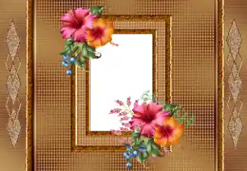 Foto-effetti della categoria Cornici da donna № 166245